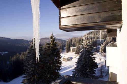 Snezhanka Apartments Tmf Pamporovo Luaran gambar